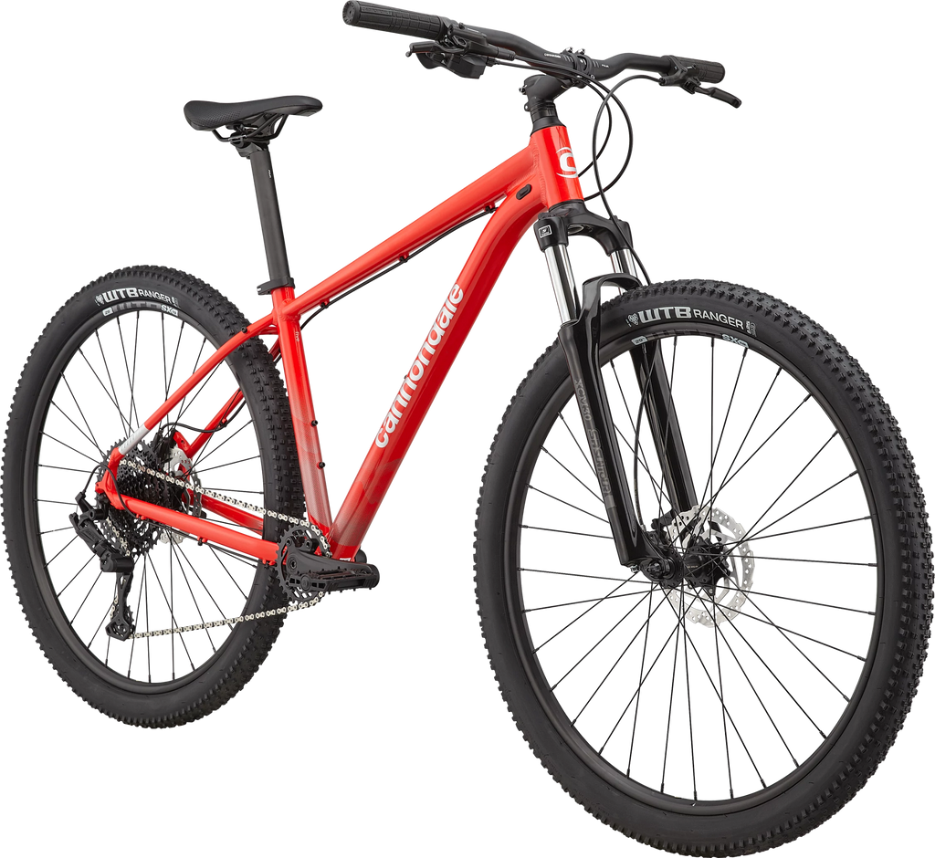 Cannondale on sale trail frame